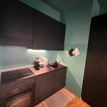 Apartman With Private Balcony On The Dora River Torino