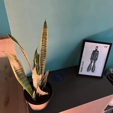 With Private Balcony On The Dora River Апартаменты *