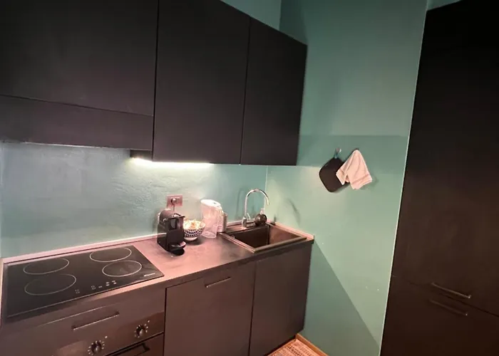 Lejlighed With Private Balcony On The Dora River Torino